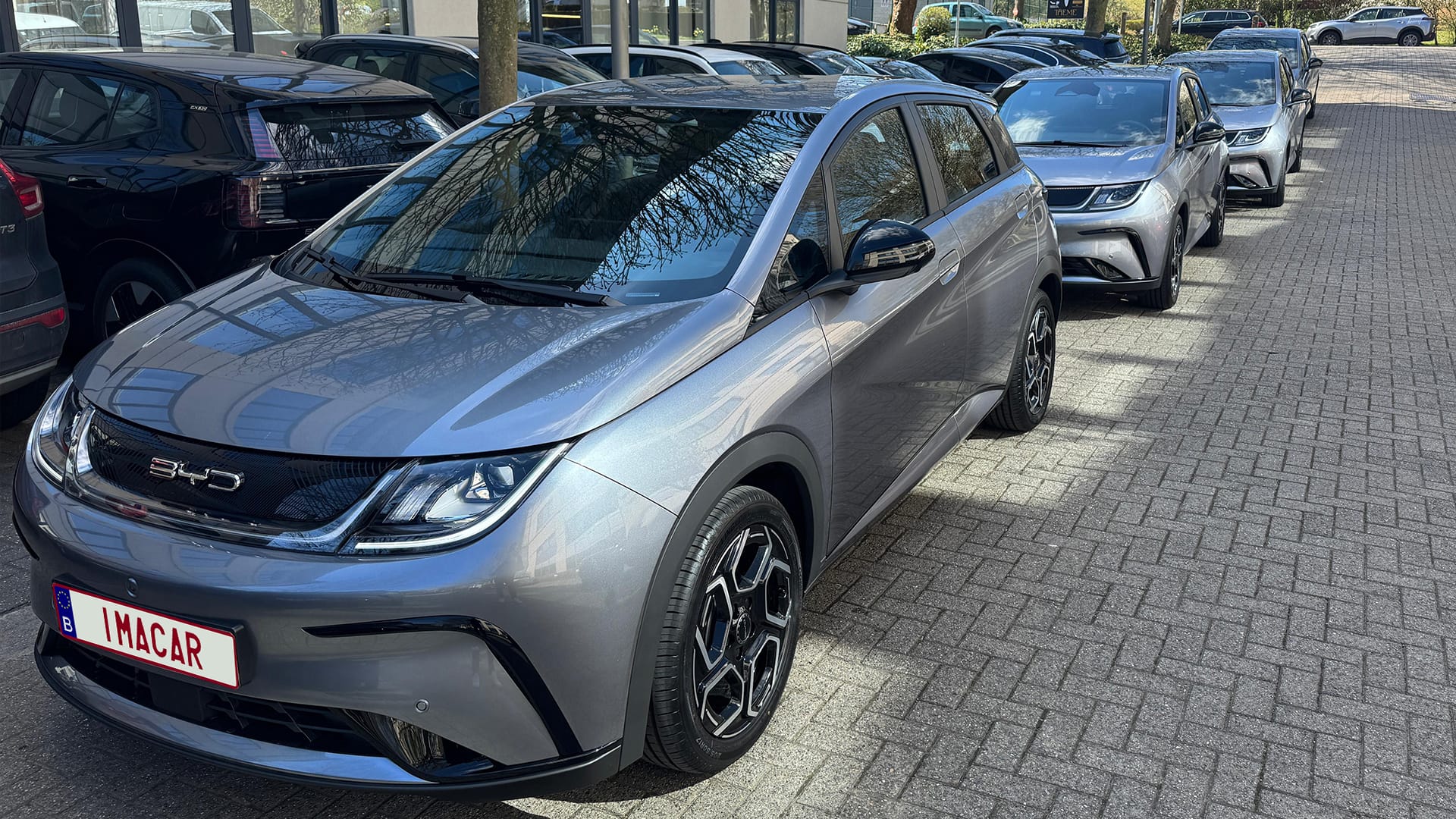 Fleet levering BYD Dolphin fiscal clear